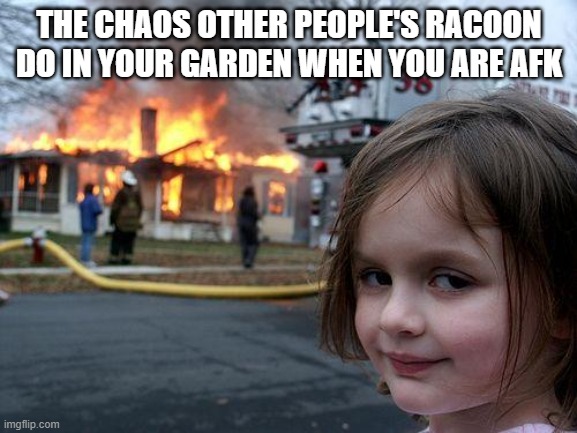 Disaster Girl | THE CHAOS OTHER PEOPLE'S RACOON DO IN YOUR GARDEN WHEN YOU ARE AFK | image tagged in memes,disaster girl,racoon | made w/ Imgflip meme maker