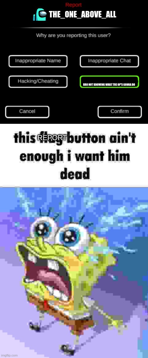THE_ONE_ABOVE_ALL BRO NOT KNOWING WHAT THE OP'S GONNA DO REPORT | image tagged in why are you reporting this user,this flag button ain't enough i want him dead | made w/ Imgflip meme maker