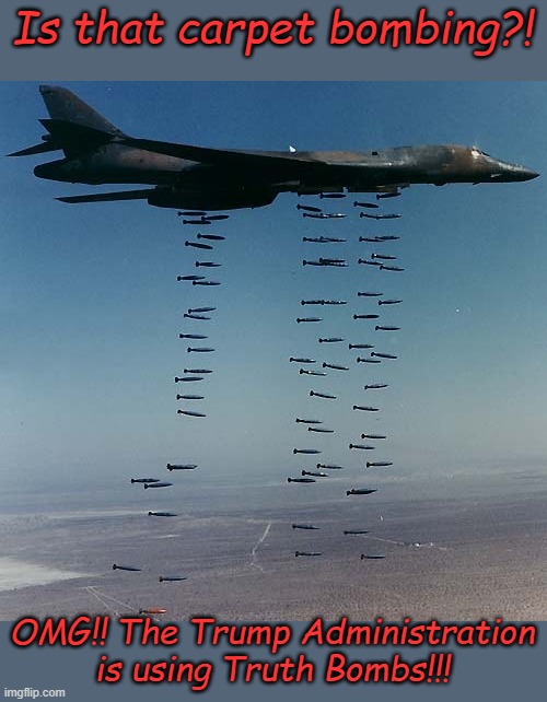It had to happen... | Is that carpet bombing?! OMG!! The Trump Administration is using Truth Bombs!!! | image tagged in carpet bombing tora-bora | made w/ Imgflip meme maker