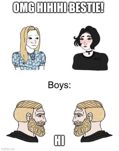 Wojak girls vs boys | OMG HIHIHI BESTIE! HI | image tagged in wojak girls vs boys | made w/ Imgflip meme maker