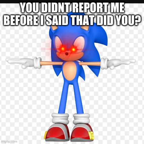 T pose sonic | YOU DIDNT REPORT ME BEFORE I SAID THAT DID YOU? | image tagged in t pose sonic | made w/ Imgflip meme maker