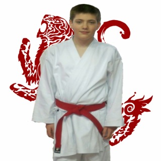 Shotokan Blank Meme Template