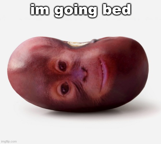 mogjt | im going bed | image tagged in primate | made w/ Imgflip meme maker