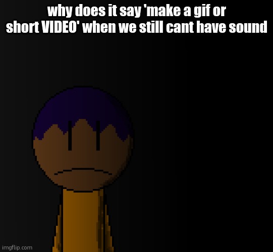 *for free users | why does it say 'make a gif or short VIDEO' when we still cant have sound | image tagged in brother | made w/ Imgflip meme maker
