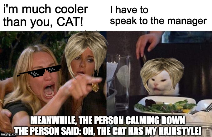 Woman yelling at cat | i'm much cooler than you, CAT! I have to speak to the manager; MEANWHILE, THE PERSON CALMING DOWN THE PERSON SAID: OH, THE CAT HAS MY HAIRSTYLE! | image tagged in memes,woman yelling at cat | made w/ Imgflip meme maker
