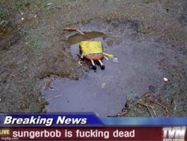 NOOO | image tagged in shitpost | made w/ Imgflip meme maker