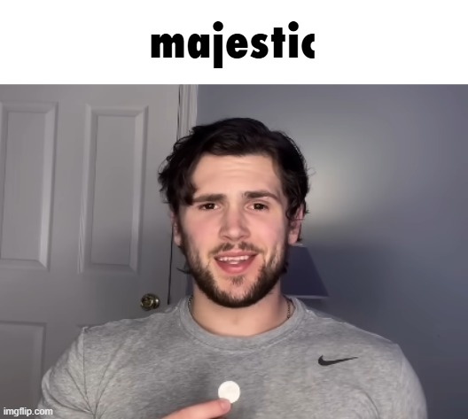 majestic | made w/ Imgflip meme maker