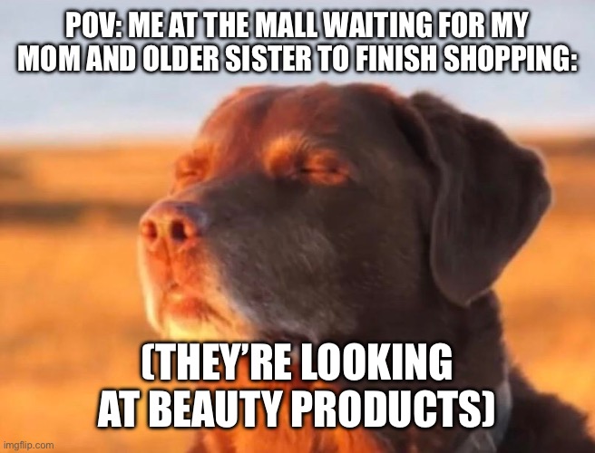 Probably forgot about me | POV: ME AT THE MALL WAITING FOR MY MOM AND OLDER SISTER TO FINISH SHOPPING:; (THEY’RE LOOKING AT BEAUTY PRODUCTS) | image tagged in dog accepting fate | made w/ Imgflip meme maker