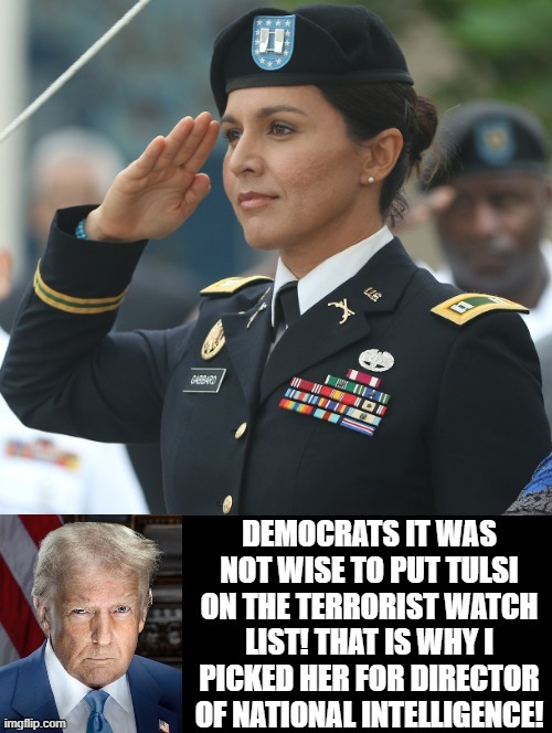 Democrats made a BIG mistake! They put Tulsi a decorated officer on the terrorist watch list! | image tagged in sam elliott special kind of stupid,for really big mistakes | made w/ Imgflip meme maker