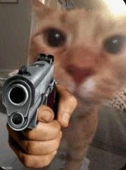 Cat with gun Blank Meme Template