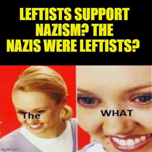 The What | LEFTISTS SUPPORT NAZISM? THE NAZIS WERE LEFTISTS? | image tagged in the what | made w/ Imgflip meme maker