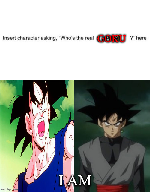 who asks who's the real goku ? Blank Meme Template