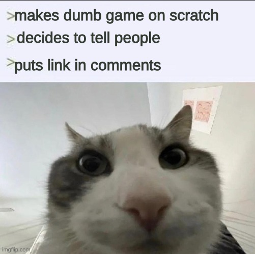 Cat looks inside | makes dumb game on scratch; decides to tell people; puts link in comments | image tagged in cat looks inside | made w/ Imgflip meme maker
