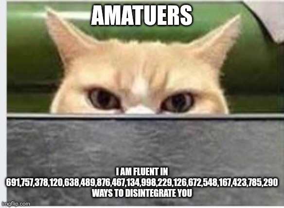 AMATUERS I AM FLUENT IN 691,757,378,120,638,489,876,467,134,998,229,126,672,548,167,423,785,290 WAYS TO DISINTEGRATE YOU | image tagged in angry eye cat peeking | made w/ Imgflip meme maker