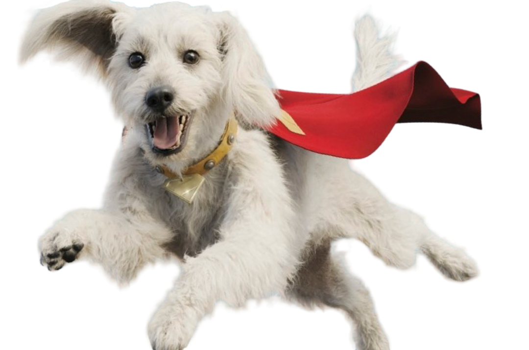 Superman Dog Krypton Blank Meme Template