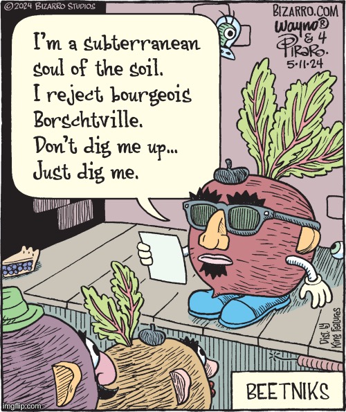 Bizarro Comics | image tagged in comics,bizarro comics,beetniks | made w/ Imgflip meme maker