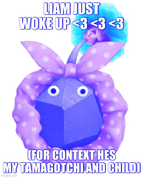 Scrunchie rock pikmin | LIAM JUST WOKE UP <3 <3 <3; (FOR CONTEXT HES MY TAMAGOTCHI AND CHILD) | image tagged in scrunchie rock pikmin | made w/ Imgflip meme maker