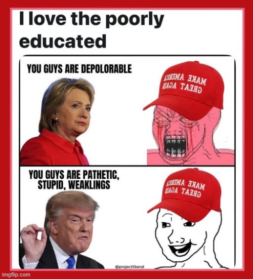 Insults welcome | image tagged in donald trump,trump,maga,jeffrey epstein,epstein,nevertrump | made w/ Imgflip meme maker