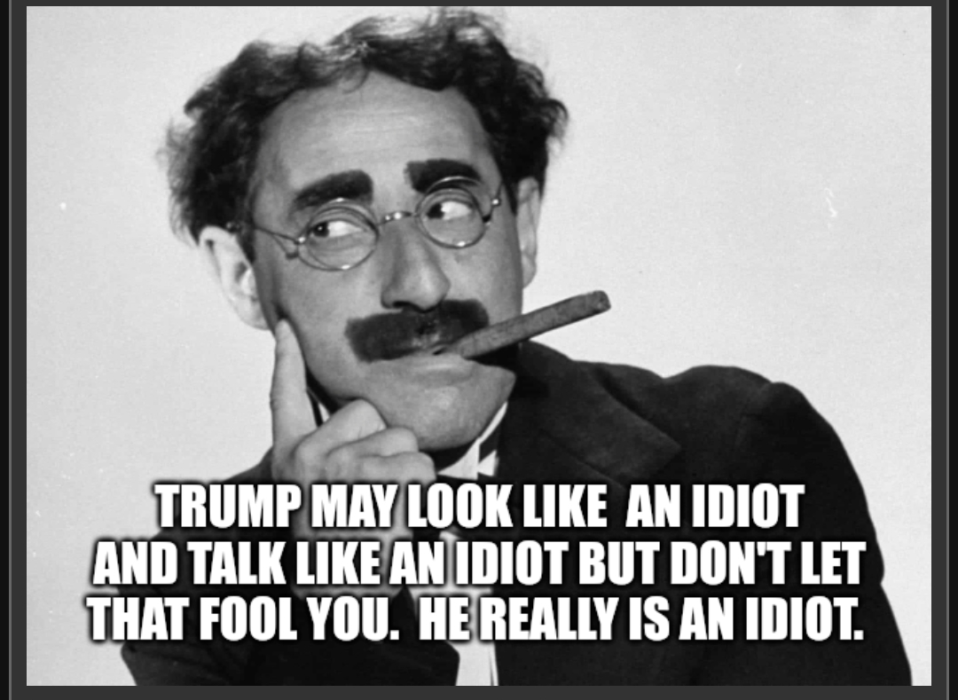 Trump idiot Blank Meme Template