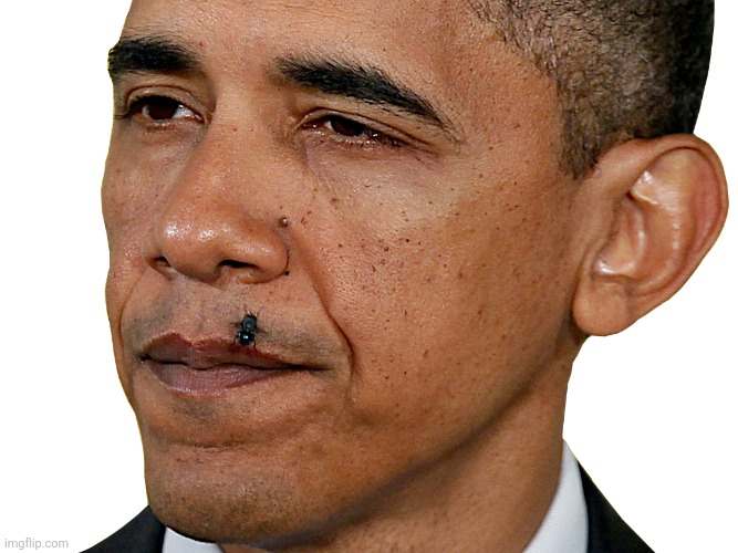 OBAMA KISSES FLY | image tagged in obama kisses fly | made w/ Imgflip meme maker