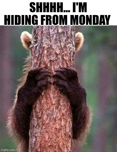 Shhhh... I'm Hiding From Monday | SHHHH... I'M HIDING FROM MONDAY | made w/ Imgflip meme maker