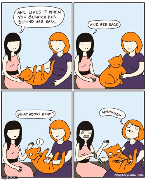 Cat Versus Human | image tagged in cats,comics,cat versus human | made w/ Imgflip meme maker