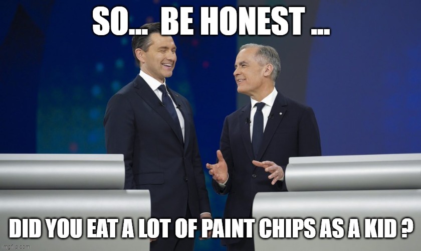 canadian politics | image tagged in political meme | made w/ Imgflip meme maker