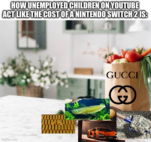 Just get a job bro | HOW UNEMPLOYED CHILDREN ON YOUTUBE ACT LIKE THE COST OF A NINTENDO SWITCH 2 IS: | image tagged in blank white template | made w/ Imgflip meme maker