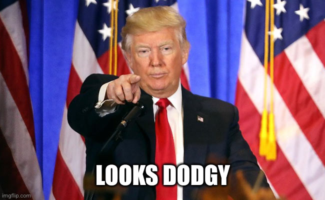 Trump Fake News | LOOKS DODGY | image tagged in trump fake news | made w/ Imgflip meme maker
