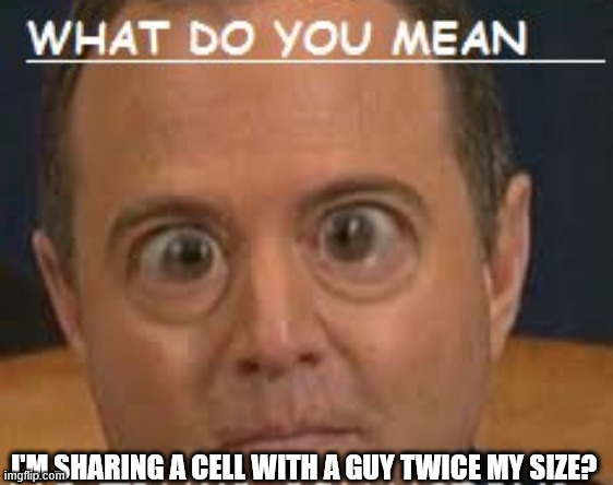 Schiff | I'M SHARING A CELL WITH A GUY TWICE MY SIZE? | made w/ Imgflip meme maker