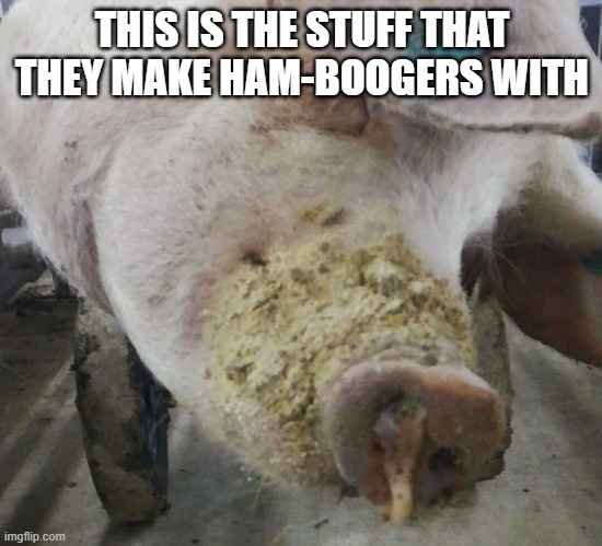 This is how they make ham-boogers.  - funny - | THIS IS THE STUFF THAT THEY MAKE HAM-BOOGERS WITH | image tagged in funny,hamburgers,play on words,humor,pigs,boogers | made w/ Imgflip meme maker