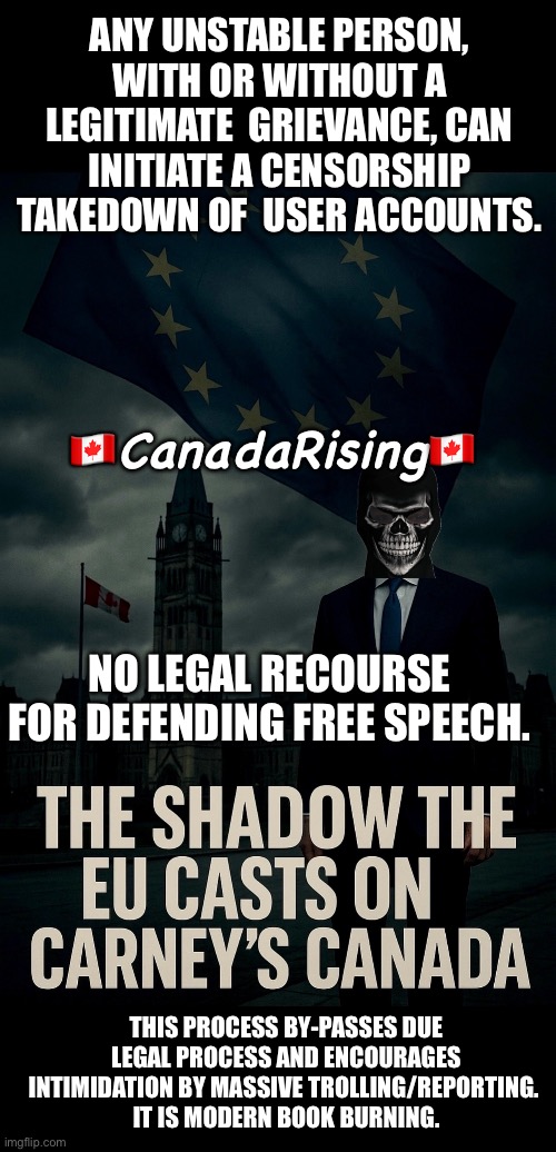CanadaRising | ANY UNSTABLE PERSON, WITH OR WITHOUT A LEGITIMATE  GRIEVANCE, CAN INITIATE A CENSORSHIP TAKEDOWN OF  USER ACCOUNTS. 🇨🇦CanadaRising🇨🇦; NO LEGAL RECOURSE
FOR DEFENDING FREE SPEECH. THIS PROCESS BY-PASSES DUE LEGAL PROCESS AND ENCOURAGES INTIMIDATION BY MASSIVE TROLLING/REPORTING. 
IT IS MODERN BOOK BURNING. | image tagged in canadian politics | made w/ Imgflip meme maker