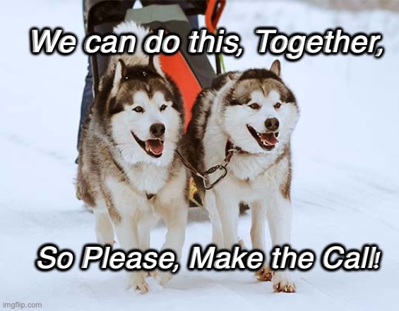Sled Dogs Call | We can do this, Together, So Please, Make the Call! | image tagged in together sled dogs | made w/ Imgflip meme maker