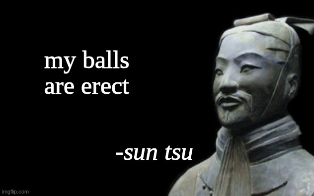 sun tsu fake quote | my balls are erect | image tagged in sun tsu fake quote | made w/ Imgflip meme maker