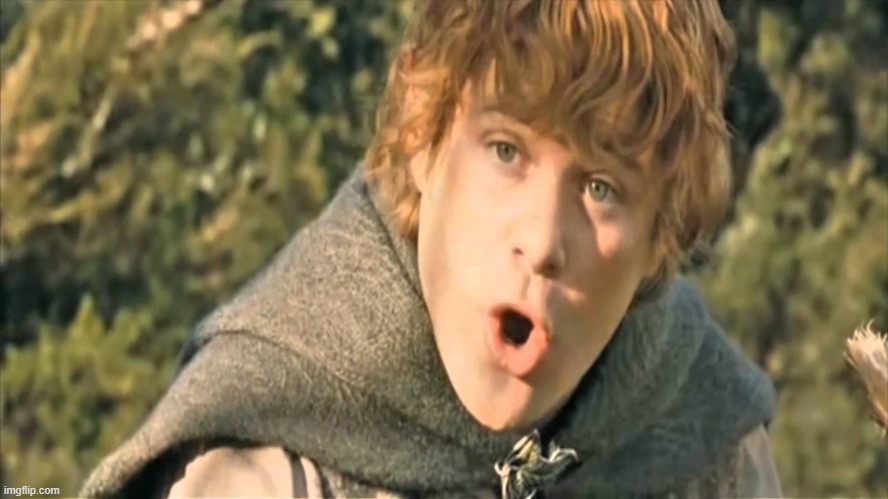 Samwise Gamgee | image tagged in samwise gamgee | made w/ Imgflip meme maker