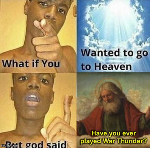 No hate is intended. | Have you ever played War Thunder? | image tagged in what if you wanted to go to heaven | made w/ Imgflip meme maker