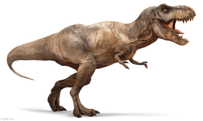 tRex | image tagged in trex | made w/ Imgflip meme maker