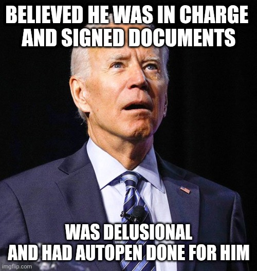 Joe Biden | BELIEVED HE WAS IN CHARGE 
AND SIGNED DOCUMENTS WAS DELUSIONAL
AND HAD AUTOPEN DONE FOR HIM | image tagged in joe biden | made w/ Imgflip meme maker