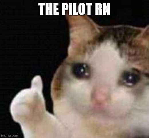 Approved crying cat | THE PILOT RN | image tagged in approved crying cat | made w/ Imgflip meme maker
