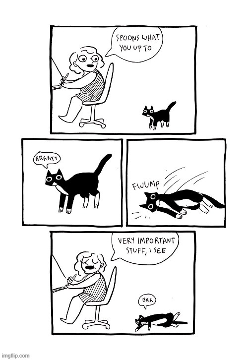 Spoons | image tagged in cats,idk what to put here | made w/ Imgflip meme maker