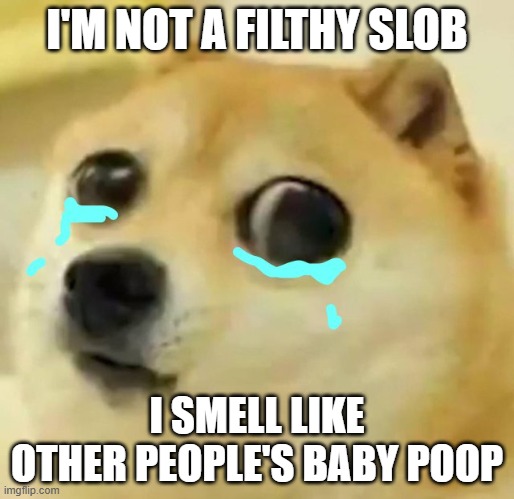 big eyes crying doge | I'M NOT A FILTHY SLOB; I SMELL LIKE OTHER PEOPLE'S BABY POOP | image tagged in big eyes crying doge | made w/ Imgflip meme maker