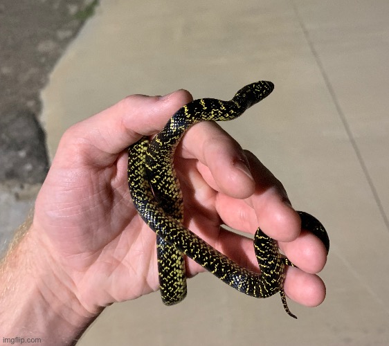 sank | made w/ Imgflip meme maker