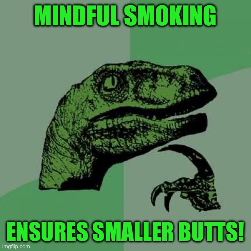 Philosoraptor | MINDFUL SMOKING; ENSURES SMALLER BUTTS! | image tagged in memes,philosoraptor | made w/ Imgflip meme maker
