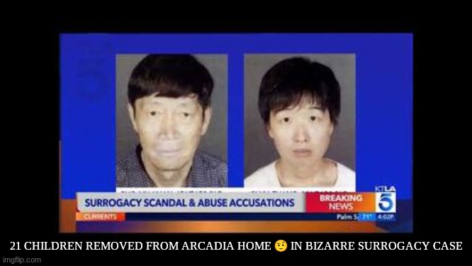 21 CHILDREN REMOVED FROM ARCADIA HOME 🤨 IN BIZARRE SURROGACY CASE | made w/ Imgflip meme maker