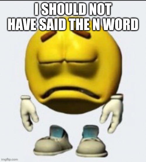 Sad emoji | I SHOULD NOT HAVE SAID THE N WORD | image tagged in sad emoji | made w/ Imgflip meme maker