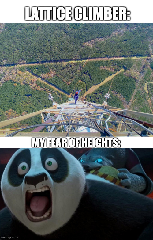 Random Kung Fu Panda Meme | LATTICE CLIMBER:; MY FEAR OF HEIGHTS: | image tagged in kung fu panda,lattice climbing,memes,climbing,kung fu,freesolo | made w/ Imgflip meme maker