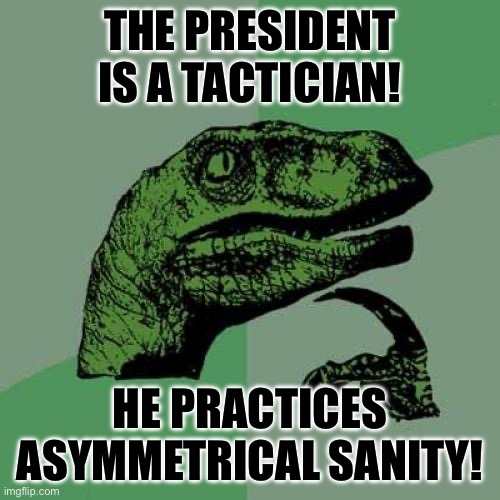 Philosoraptor | THE PRESIDENT IS A TACTICIAN! HE PRACTICES ASYMMETRICAL SANITY! | image tagged in memes,philosoraptor | made w/ Imgflip meme maker