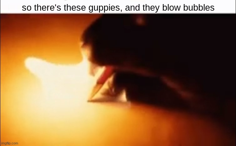 Writing Fire | so there's these guppies, and they blow bubbles | image tagged in writing fire | made w/ Imgflip meme maker