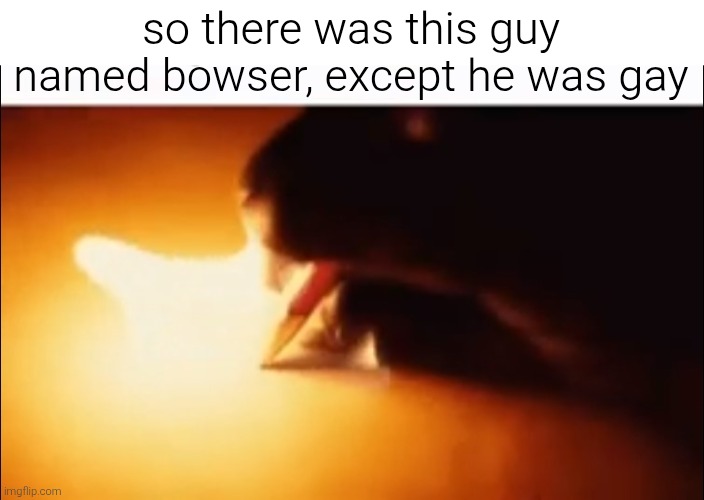 Writing Fire | so there was this guy named bowser, except he was gay | image tagged in writing fire | made w/ Imgflip meme maker