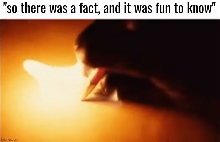 Writing Fire | "so there was a fact, and it was fun to know" | image tagged in writing fire | made w/ Imgflip meme maker